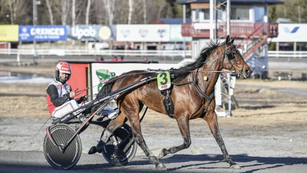 Foto: JENNY REHNMAN / TR BILD