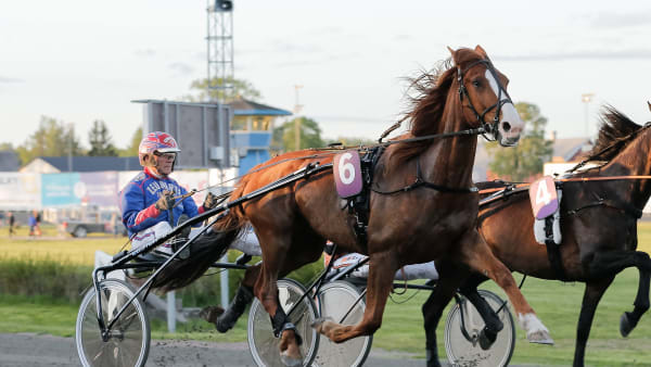 Foto: LENA EMMOTH / TR BILD