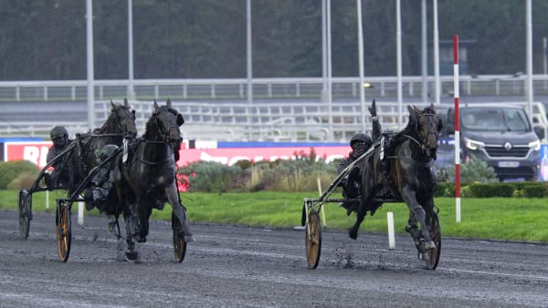 Foto: Jean-Luc Lamaere / TR BILD