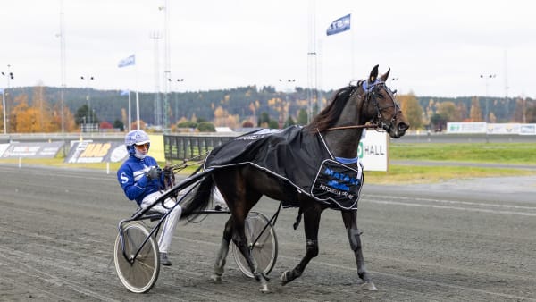 Foto: LENA EMMOTH / TR BILD