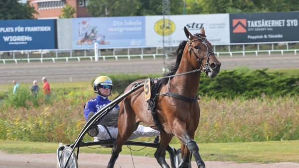 Foto: LARS JAKOBSSON / TR BILD