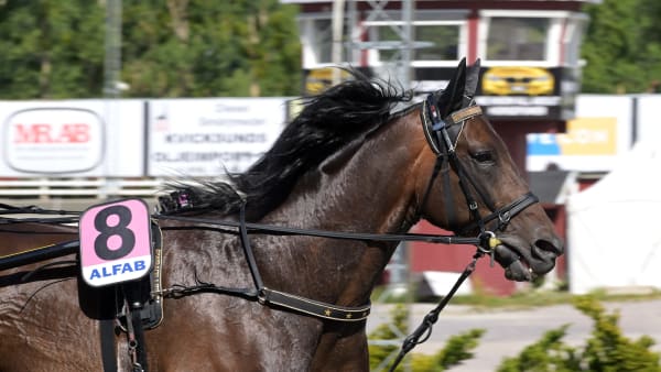 Foto: LARS JAKOBSSON / TR BILD