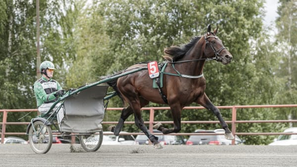 Foto: LENA EMMOTH / TR BILD