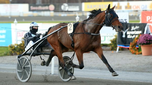 Foto: GIRLPOWER HB/TR BILD