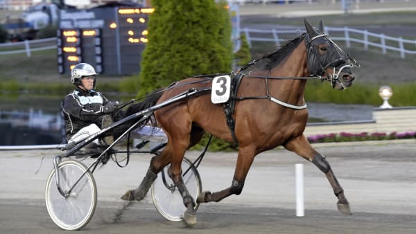 Foto: LARS JAKOBSSON / TR BILD