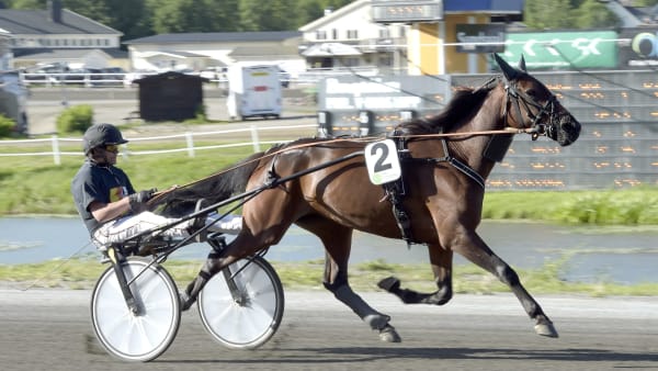 Foto: LARS JAKOBSSON / TR BILD