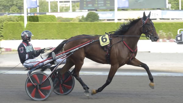 Foto: LARS JAKOBSSON / TR BILD