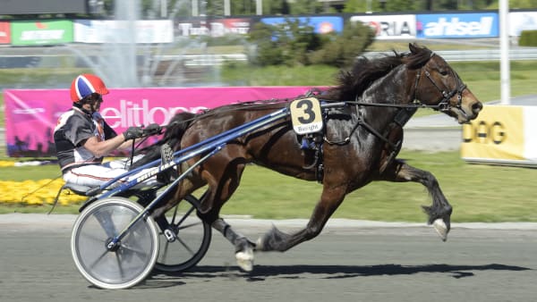 Foto: LARS JAKOBSSON / TR BILD
