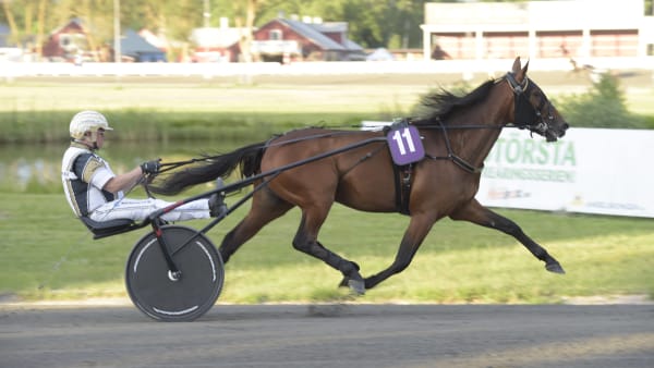 Foto: LARS JAKOBSSON / TR BILD