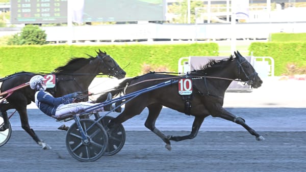 Foto: LARS JAKOBSSON / TR BILD