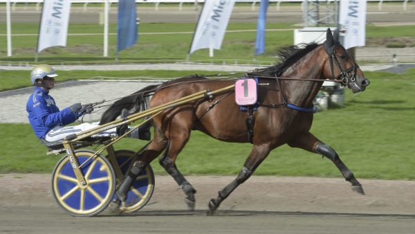 Foto: LARS JAKOBSSON / TR BILD