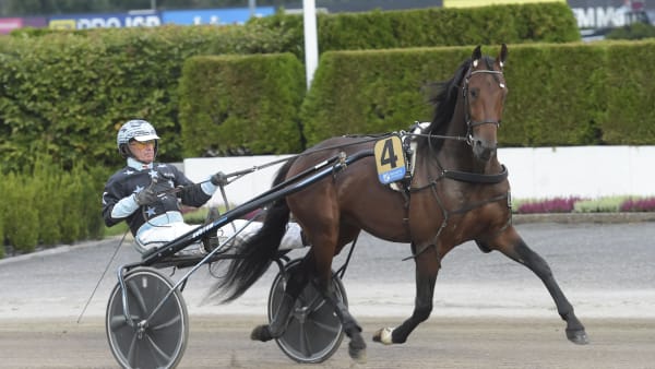 Foto: LARS JAKOBSSON / TR BILD