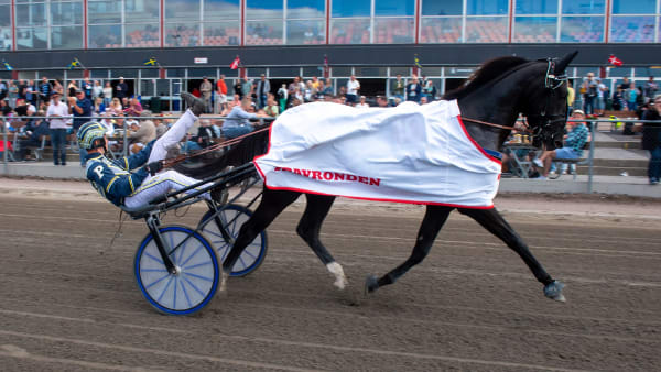 Foto: MIKAEL ROSENQUIST / TR BILD