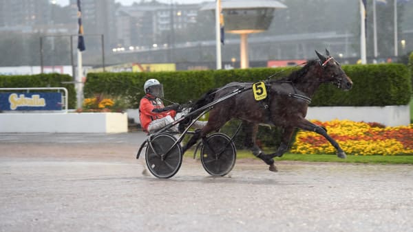 Foto: LARS JAKOBSSON / TR BILD