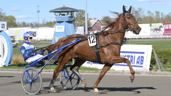 Foto: LARS JAKOBSSON / TR BILD