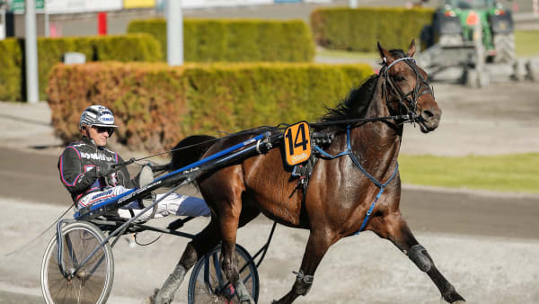 Foto: LENA EMMOTH / TR BILD