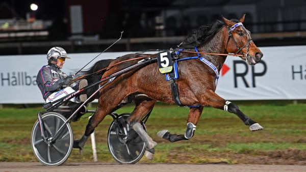 Foto: MALIN ALBINSSON / TR BILD