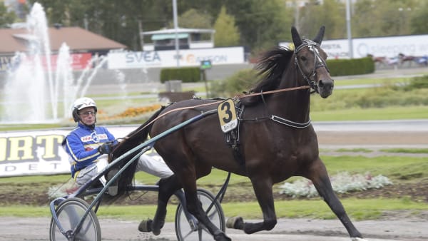 Foto: LARS JAKOBSSON / TR BILD