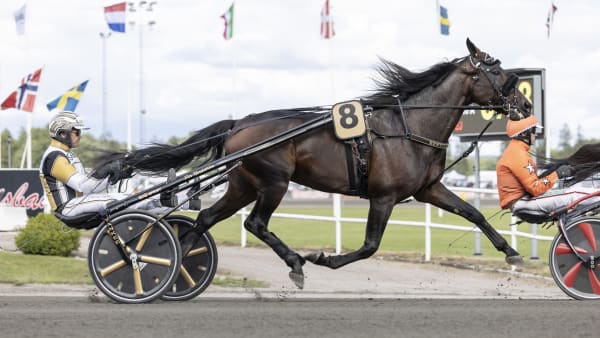 Foto: LENA EMMOTH / TR BILD