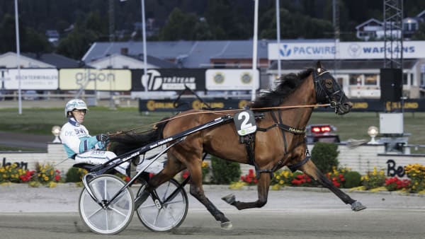 Foto: LENA EMMOTH / TR BILD