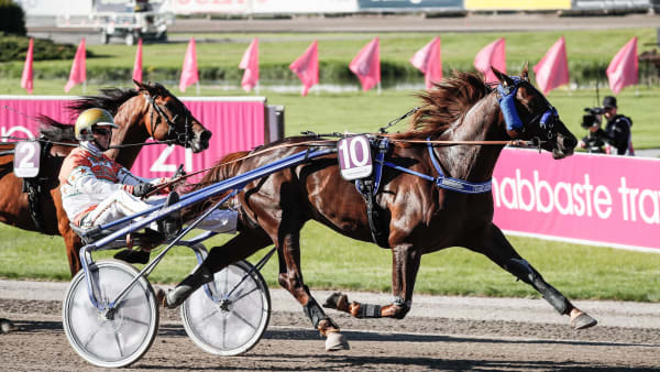 Foto: LENA EMMOTH / TR BILD
