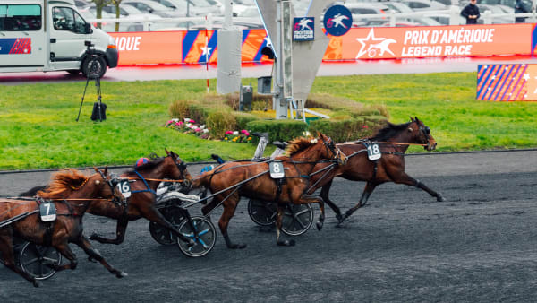 Foto: ALEX ZONA/LE TROT