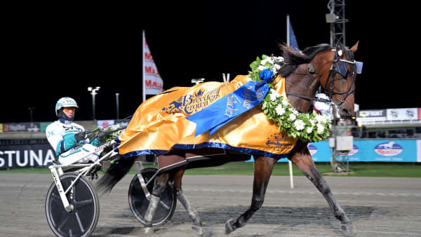 Foto: LARS JAKOBSSON / TR BILD