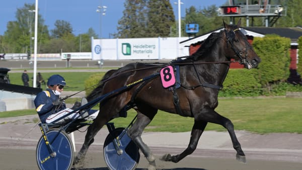 Foto: LARS JAKOBSSON / TR BILD