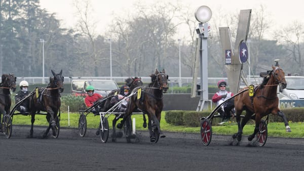 Foto: Jean-Luc Lamaère-TR Bild