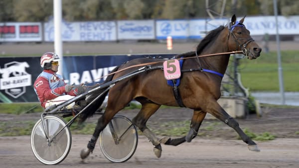 Foto: LARS JAKOBSSON / TR BILD