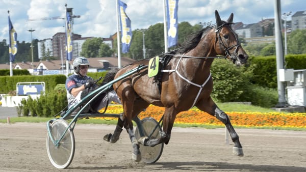 Foto: LARS JAKOBSSON / TR BILD