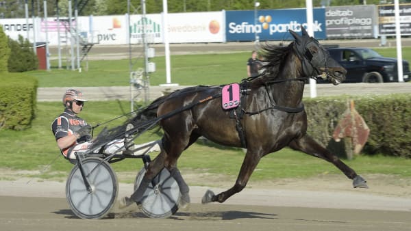 Foto: LARS JAKOBSSON / TR BILD