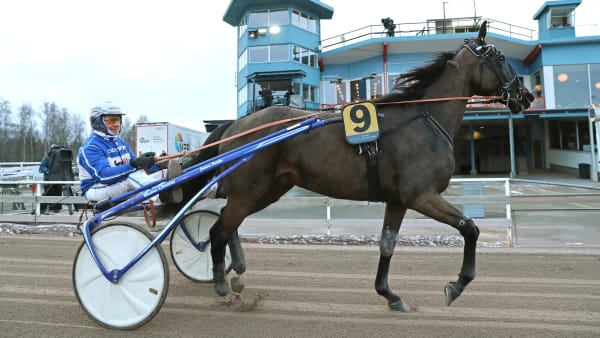 Foto: MARIA HOLMÉN / TR BILD