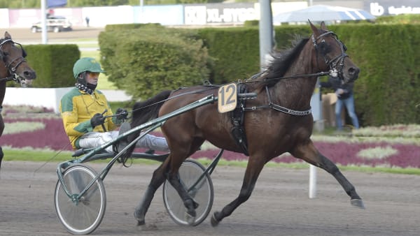 Foto: LARS JAKOBSSON / TR BILD