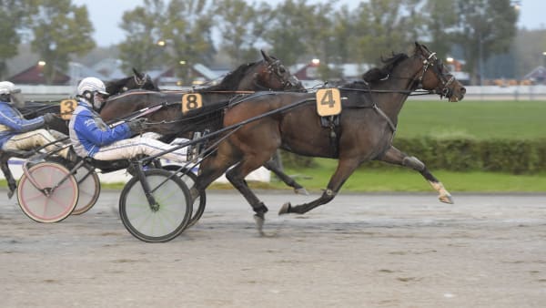 Foto: LARS JAKOBSSON / TR BILD