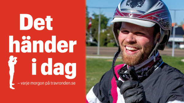 Foto: MONTAGE/TR BILD