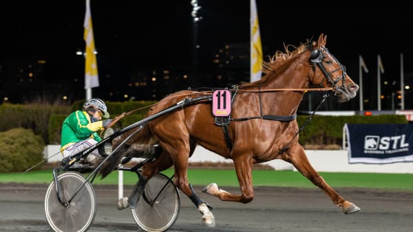 Foto: LENA EMMOTH / TR BILD