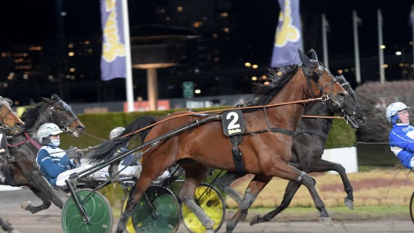 Foto: LARS JAKOBSSON / TR BILD