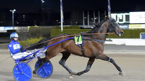 Foto: LARS JAKOBSSON / TR BILD
