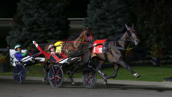 Foto: New Image Media