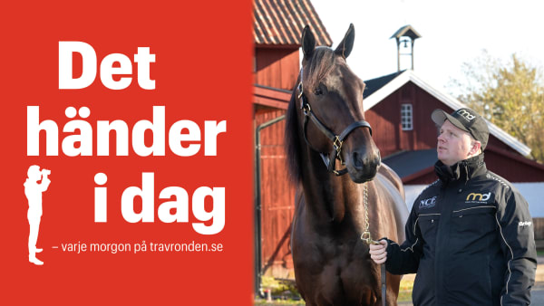 Foto: TR BILD