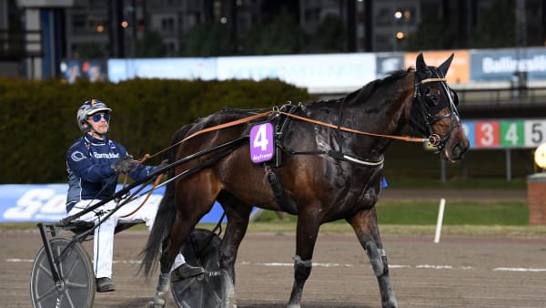 Foto: MALIN ALBINSSON / TR BILD