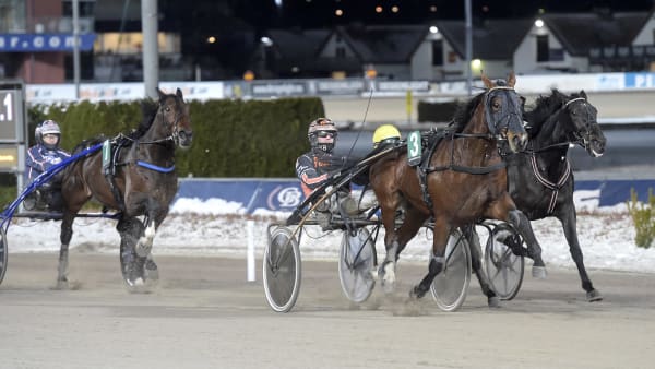 Foto: LARS JAKOBSSON / TR BILD