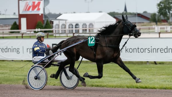 Foto: LENA EMMOTH/TR BILD