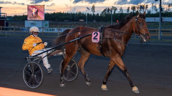 Foto: MIKAEL ROSENQUIST / TR BILD