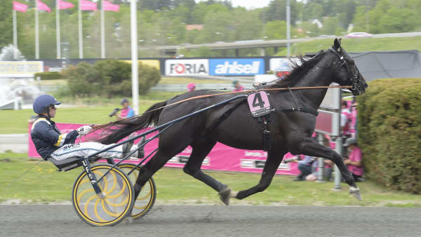 Foto: LARS JAKOBSSON / TR BILD