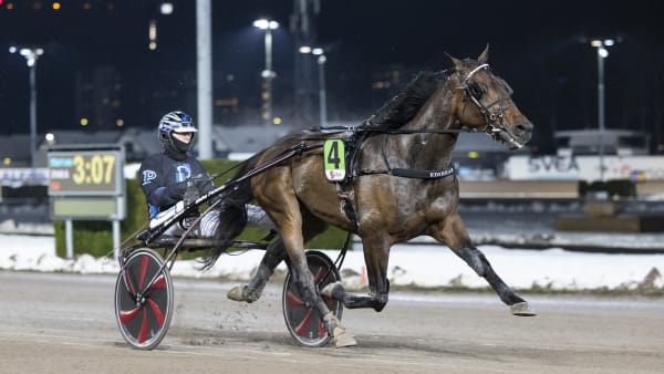 Foto: LENA EMMOTH / TR BILD