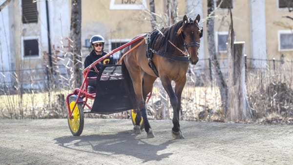 Foto: LARS JAKOBSSON/TR BILD