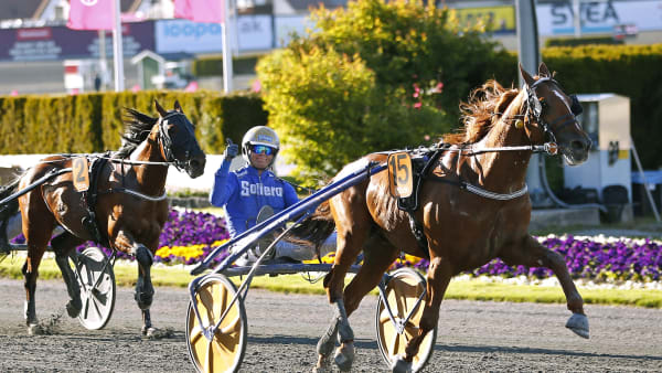 Foto: MARIA HOLMÉN / TR BILD