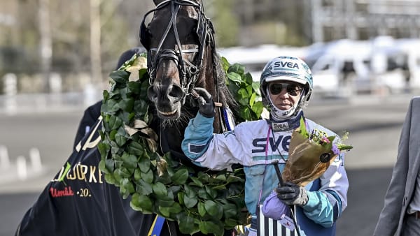 Foto: JENNY REHNMAN / TR BILD